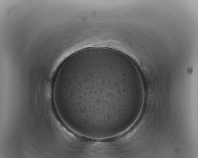 X0000094371506200711091525