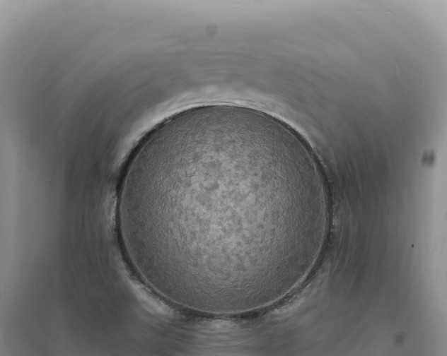 X0000094371507200711091525