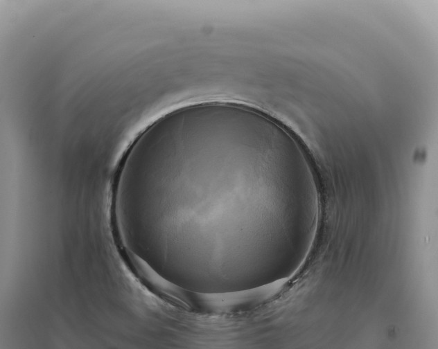 X0000094371508200711091525