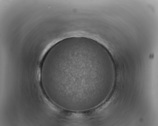 X0000094371509200711091525