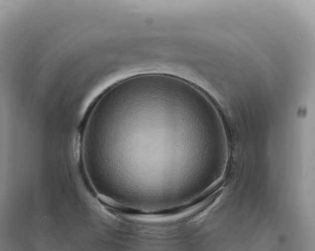 X0000094371510200711091525