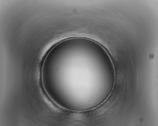 X0000094371511200711091525