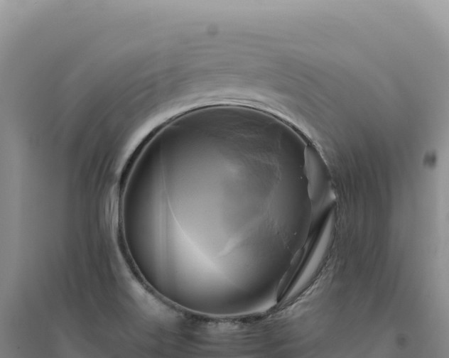 X0000094371515200711091525