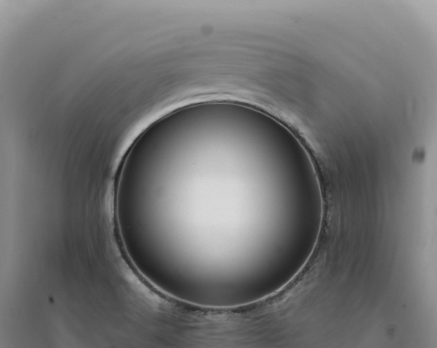 X0000094371516200711091525