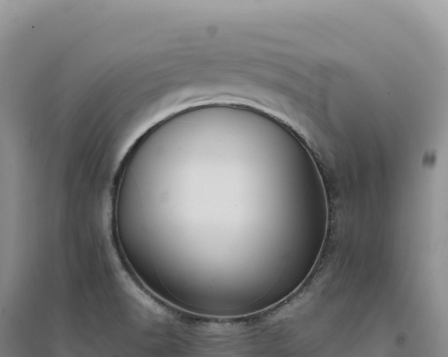 X0000094371518200711091525
