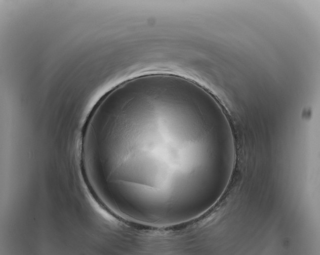 X0000094371519200711091525