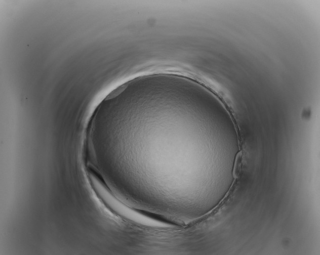 X0000094371520200711091526