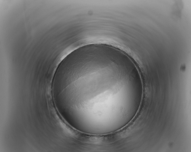 X0000094371521200711091526