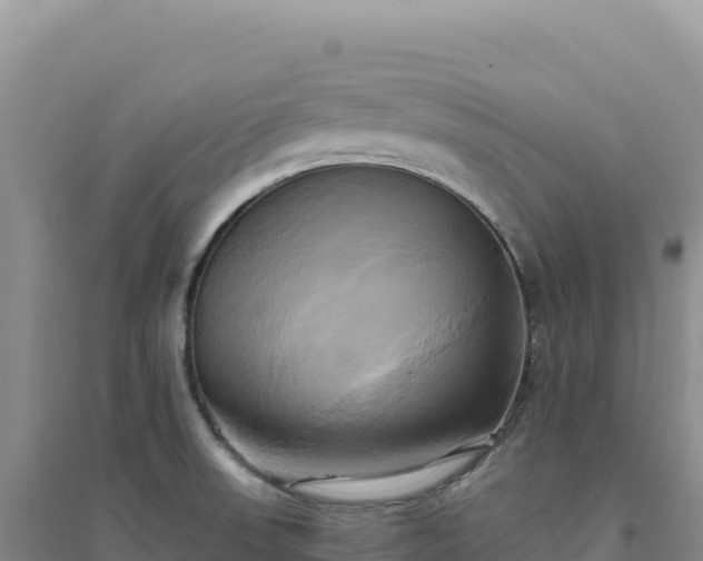 X0000094371523200711091526