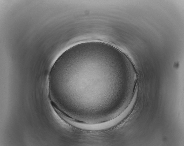 X0000094371524200711091526