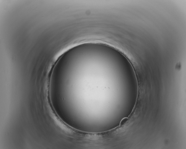 X0000094371526200711091526