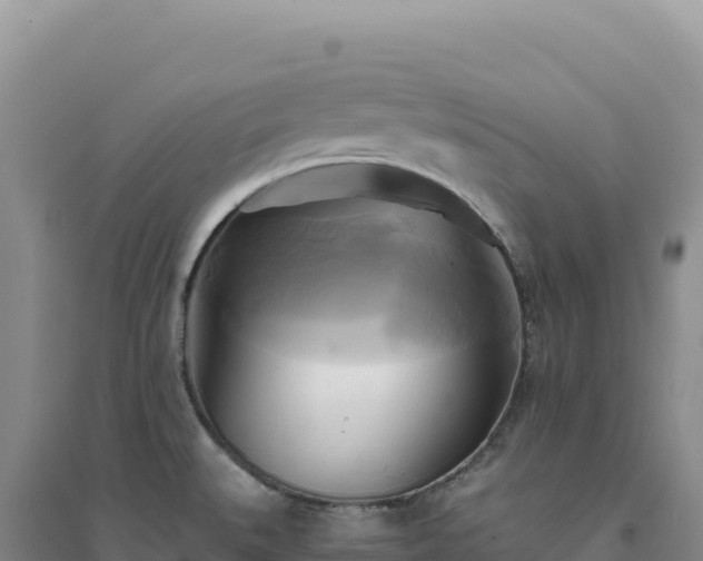 X0000094371527200711091526