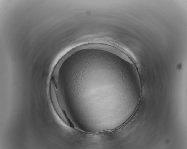 X0000094371528200711091526