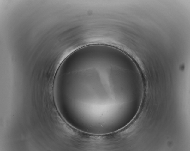X0000094371529200711091526