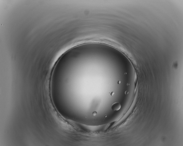 X0000094371530200711091526