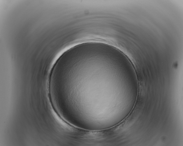 X0000094371531200711091526