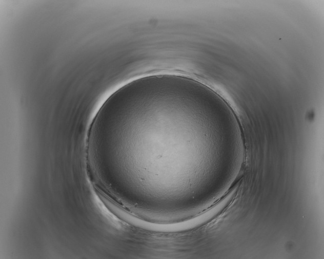 X0000094371532200711091526