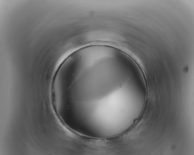 X0000094371533200711091526