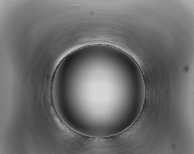 X0000094371534200711091526