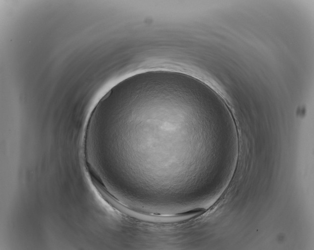 X0000094371536200711091526