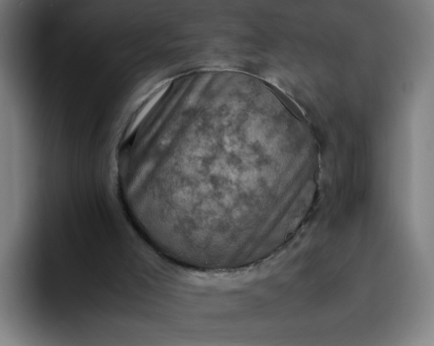 X0000094370005200711162120