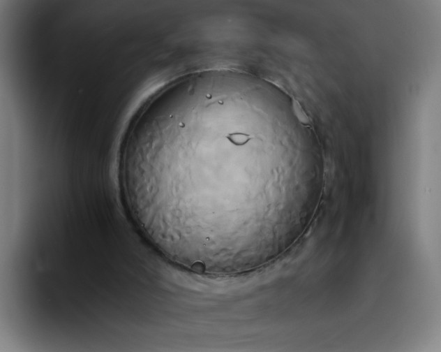 X0000094370006200711162120