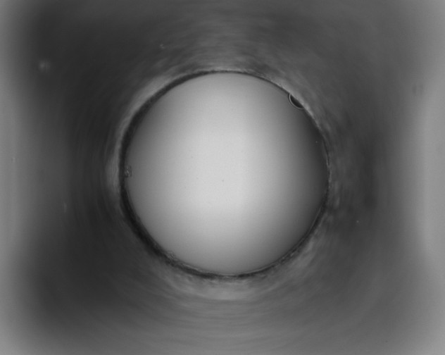 X0000094370008200711162120