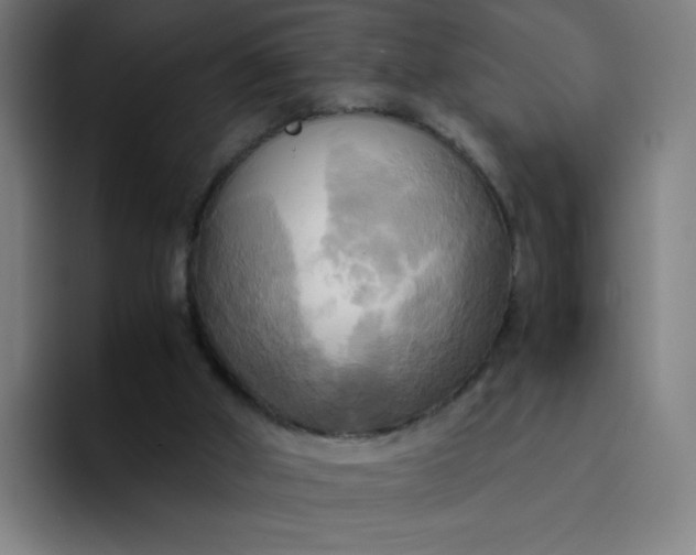 X0000094370010200711162120