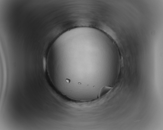 X0000094370013200711162120