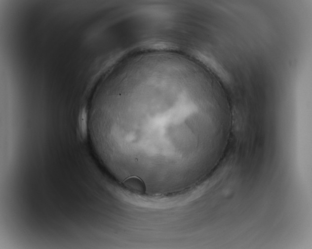 X0000094370014200711162120