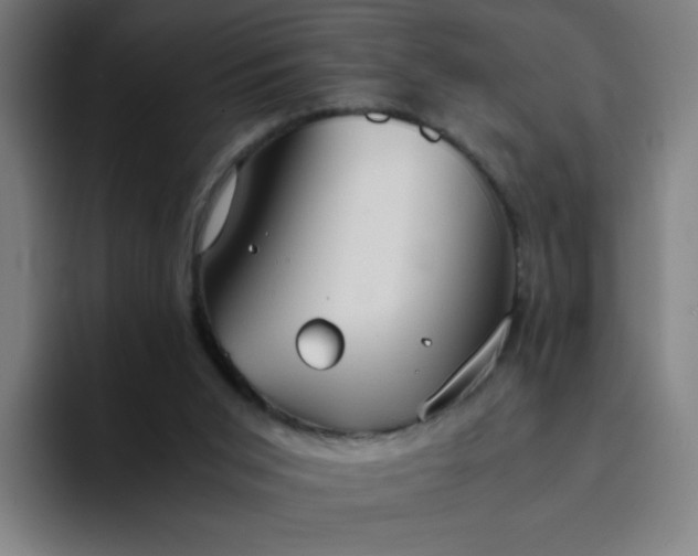 X0000094370015200711162120