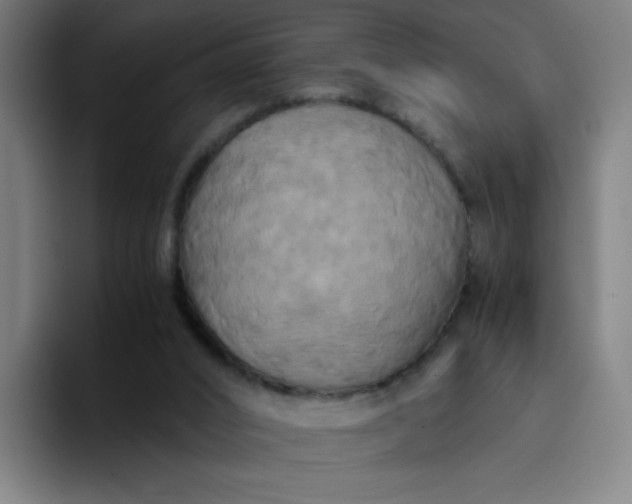 X0000094370016200711162120