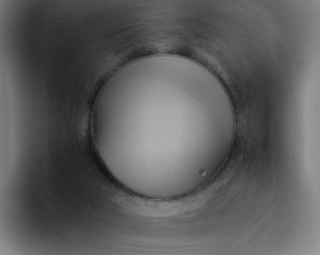 X0000094370018200711162120