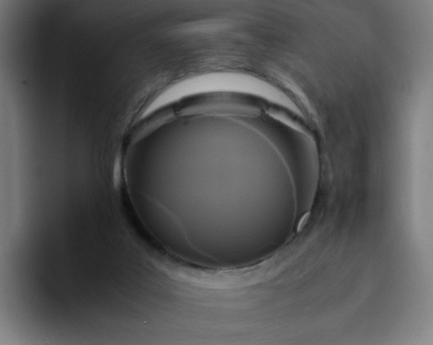 X0000094370019200711162120