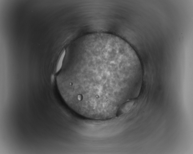 X0000094370021200711162120