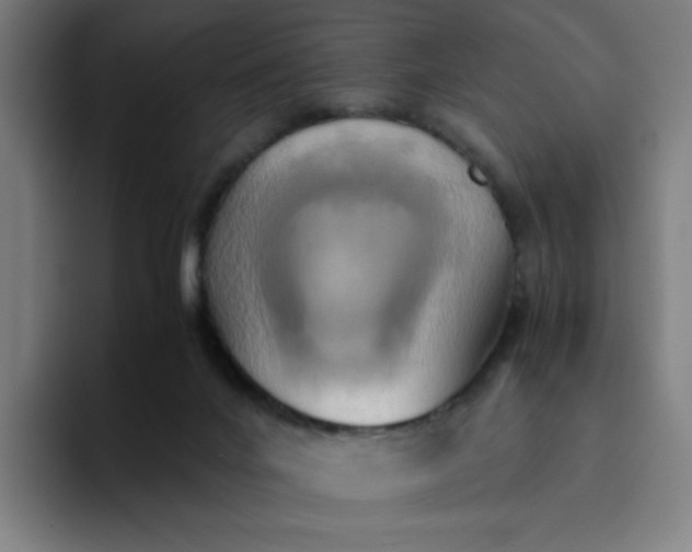 X0000094370024200711162119