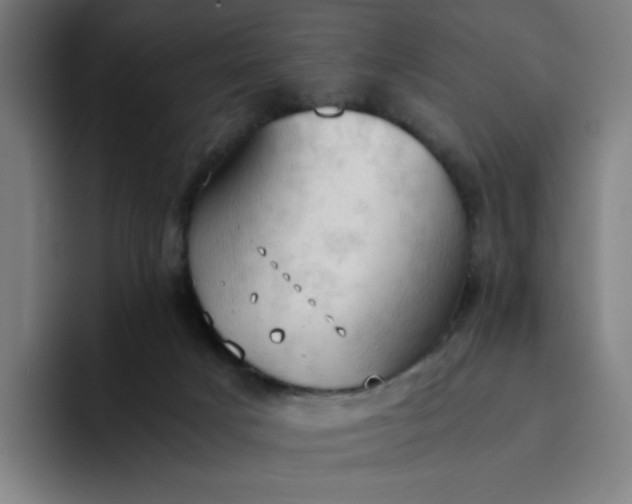 X0000094370025200711162119