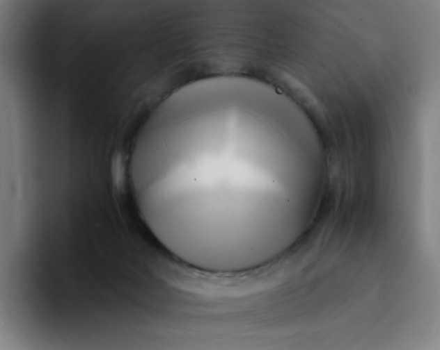 X0000094370026200711162119