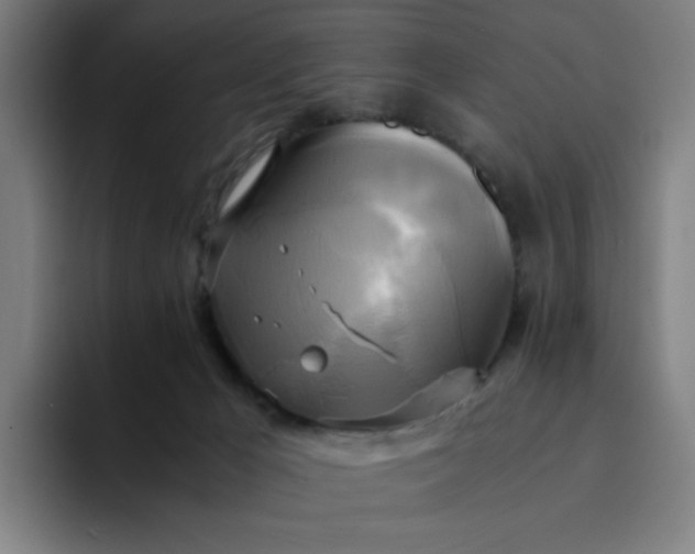 X0000094370029200711162119