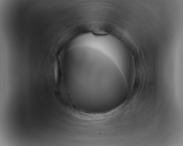 X0000094370031200711162119