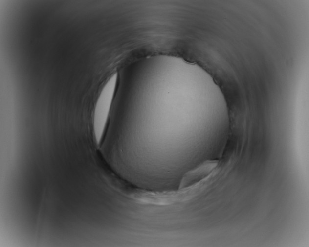 X0000094370033200711162119