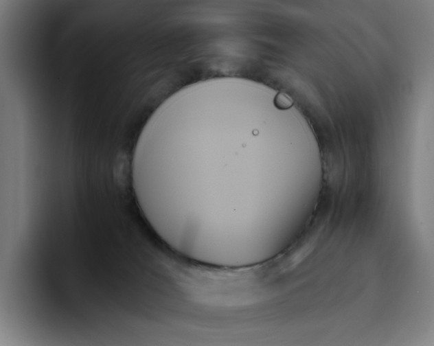 X0000094370036200711162119