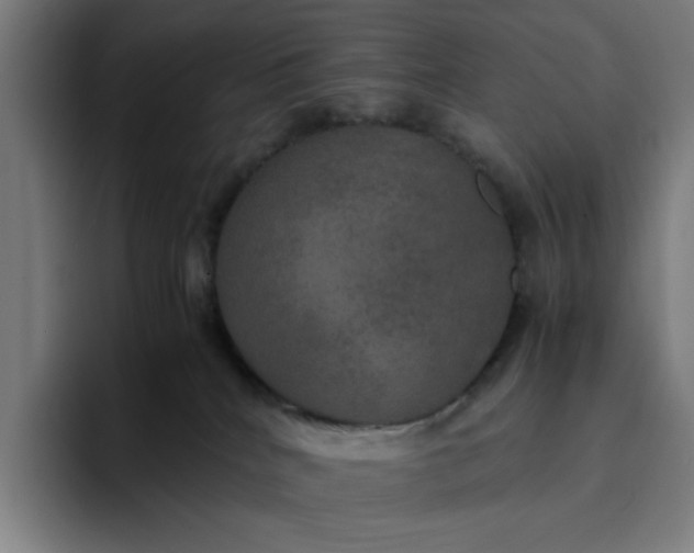 X0000094370040200711162119