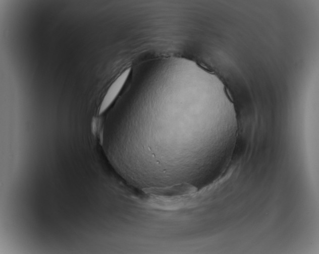 X0000094370041200711162119