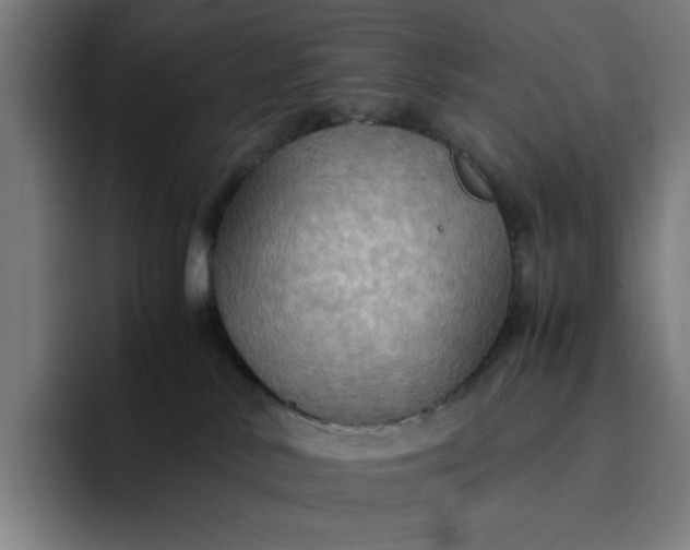 X0000094370042200711162119