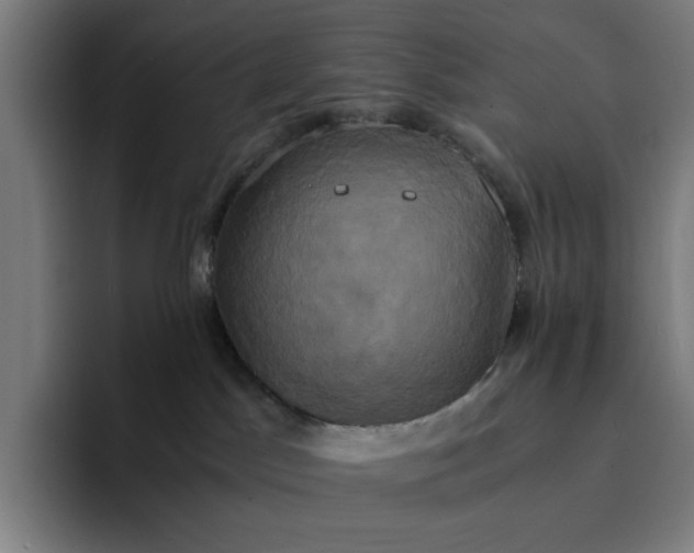 X0000094370045200711162119