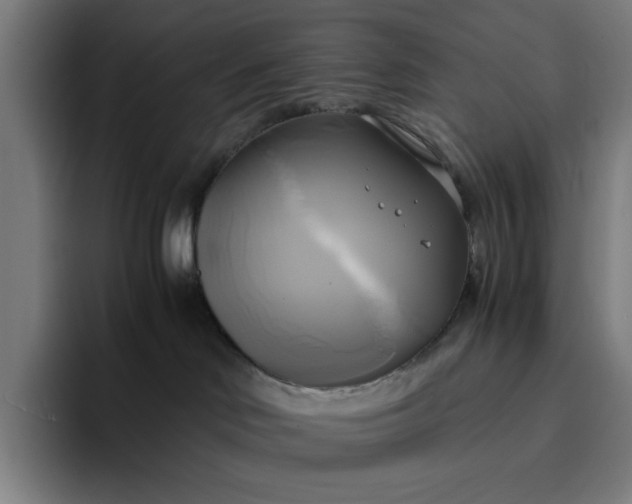 X0000094370046200711162119