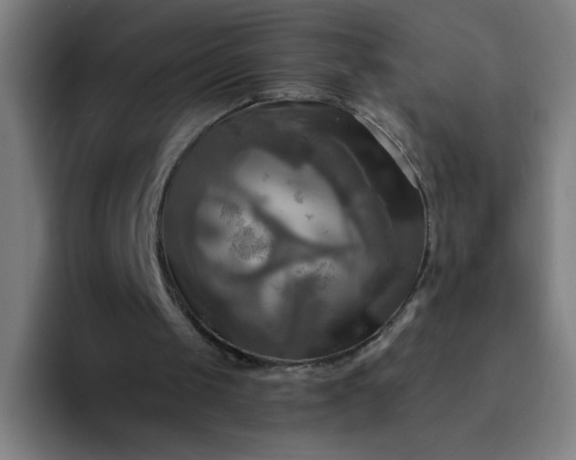 X0000094370049200711162119