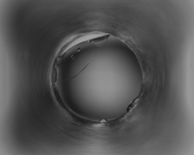 X0000094370054200711162119