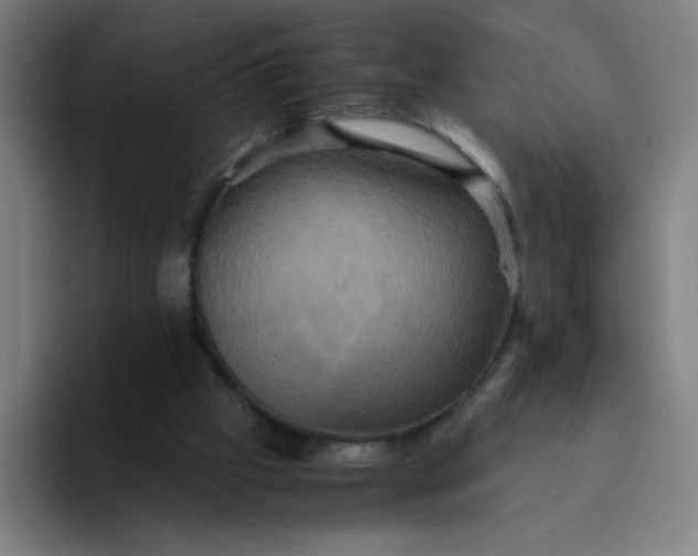 X0000094370057200711162119